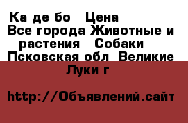 Ка де бо › Цена ­ 25 000 - Все города Животные и растения » Собаки   . Псковская обл.,Великие Луки г.